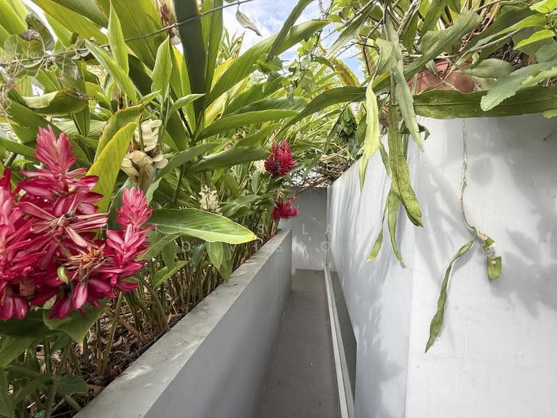 Rare Freehold Terrace with Lush Green Views, East Coast / Marine Parade, 5 Bedrooms, 3,000 sqft, Terraced House For Sale, by Homer, 500254563 - Exterior - PropertyGuru.com.sg