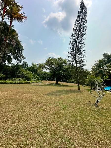 Colonial Black and White Bungalow, Mount Pleasant Road, Newton / Novena, 3 Bedrooms, 6,404 sqft, Bungalow House For Rent, by Michele Cabasug, 500255128 - Garden - PropertyGuru.com.sg