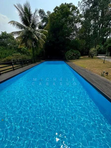 Colonial Black and White Bungalow, Mount Pleasant Road, Newton / Novena, 3 Bedrooms, 6,404 sqft, Bungalow House For Rent, by Michele Cabasug, 500255128 - Pool - PropertyGuru.com.sg