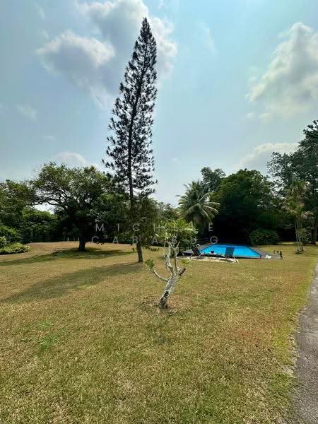 Colonial Black and White Bungalow, Mount Pleasant Road, Newton / Novena, 3 Bedrooms, 6,404 sqft, Bungalow House For Rent, by Michele Cabasug, 500255128 - Garden - PropertyGuru.com.sg
