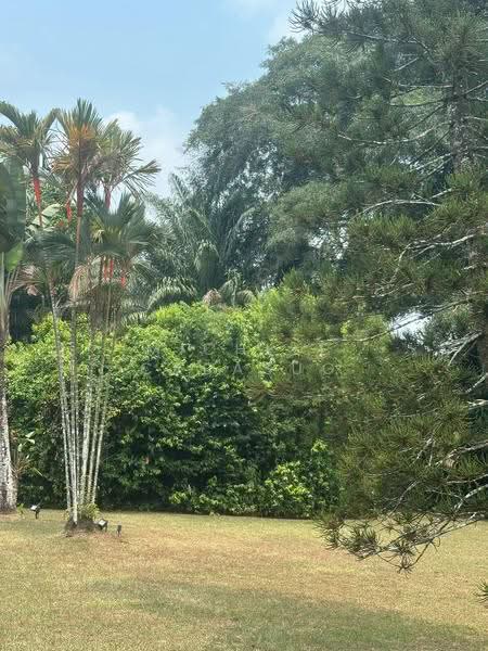 Colonial Black and White Bungalow, Mount Pleasant Road, Newton / Novena, 3 Bedrooms, 6,404 sqft, Bungalow House For Rent, by Michele Cabasug, 500255128 - Garden - PropertyGuru.com.sg