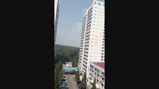 213 Petir Road, 213 Petir Road, Dairy Farm / Bukit Panjang / Choa Chu Kang, 3 Bedrooms, 1,313 sqft, HDB Flat For Sale, by Mark Tan, 500255339 - PropertyGuru.com.sg