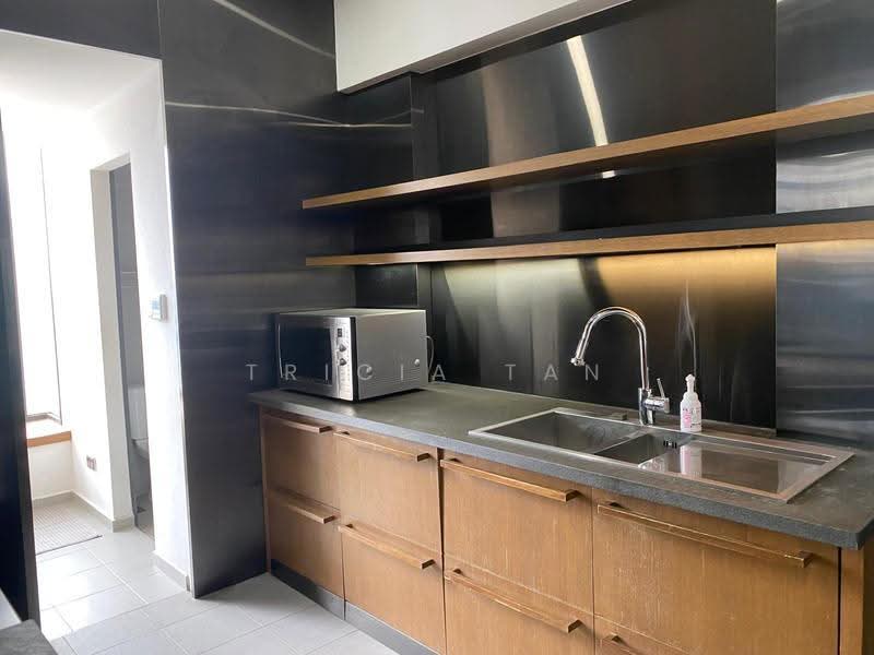 Newton Suites, 60 Newton Road, Newton / Novena, 3 Bedrooms, 4,865 sqft, Apartment For Sale, by Tricia Tan, 500255603 - Kitchen - PropertyGuru.com.sg