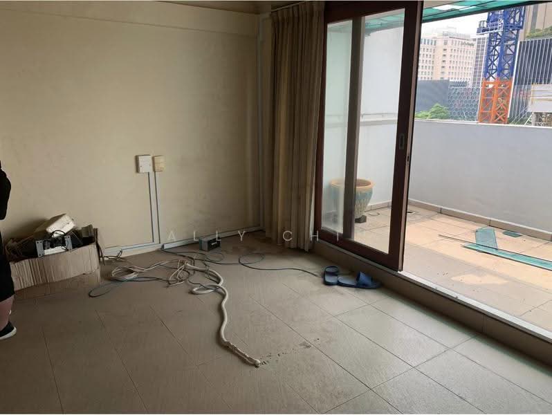 Rowell Road, Rowell road, 2 Bedrooms, 721 sqft, HDB Flat For Rent, by Ally Chin, 500255638 - Balcony - PropertyGuru.com.sg