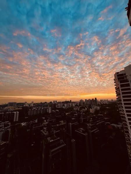 d'Leedon (Former Farrer Court), 5 Leedon Heights, Tanglin / Holland / Bukit Timah, 4 Bedrooms, 2,271 sqft, Condominium For Rent, by Peter Pang, 500256017 - Exterior - PropertyGuru.com.sg