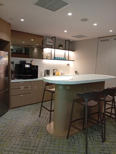Hub Synergy Point, 70 Anson Road, Chinatown / Tanjong Pagar, 160 sqft, Office For Rent, by Lin Wei-ling Melody, 500256035 - Shared pantry - CommercialGuru.com.sg