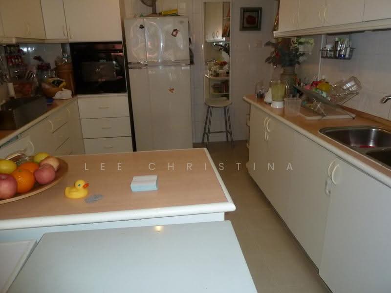 Sommerville Park, Sommerville Estate Road, Tanglin / Holland / Bukit Timah, 4 Bedrooms, 2,325 sqft, Condominium For Rent, by Lee Christina, 500256158 - Kitchen - PropertyGuru.com.sg