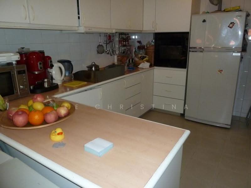 Sommerville Park, Sommerville Estate Road, Tanglin / Holland / Bukit Timah, 4 Bedrooms, 2,325 sqft, Condominium For Rent, by Lee Christina, 500256158 - Kitchen - PropertyGuru.com.sg