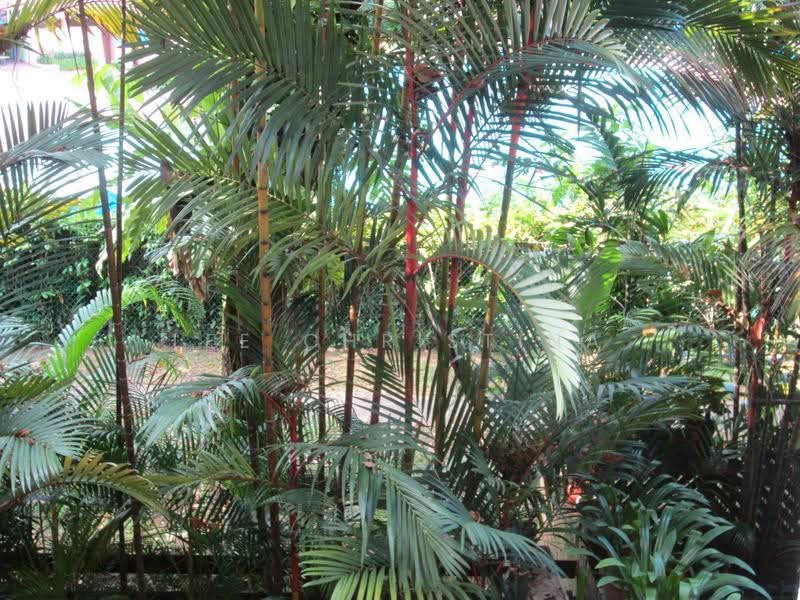 Sommerville Park, Sommerville Estate Road, Tanglin / Holland / Bukit Timah, 4 Bedrooms, 2,325 sqft, Condominium For Rent, by Lee Christina, 500256158 - Exterior - PropertyGuru.com.sg
