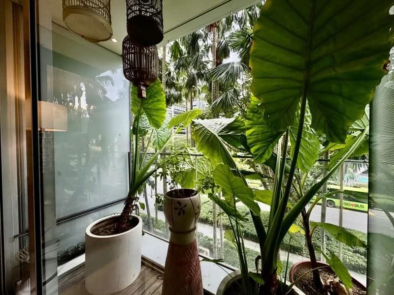 St. Regis Residences Singapore, 31 Tanglin Road, Tanglin / Holland / Bukit Timah, 4 Bedrooms, 2,121 sqft, Condominium For Rent, by Elaine Ng, 500256216 - PropertyGuru.com.sg
