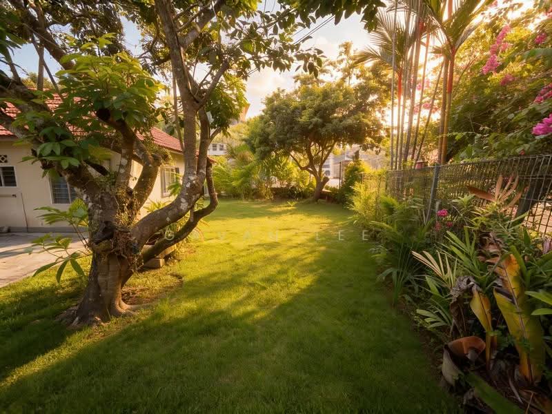 EMINENCE FH Original Corner Terrace near Upper Thomson MRT, Gardenia Rd / Daffodil Dr / Marigold Dr / Upper Thomson, Ang Mo Kio / Bishan / Thomson, 4 Bedrooms, 2,500 sqft, Corner Terrace For Sale, by Gavan Lee, 500256293 - PropertyGuru.com.sg