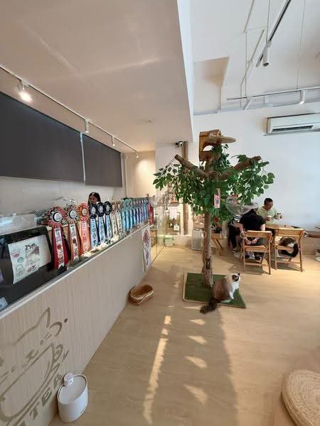 Thomson V One, 9 Sing Ming Rd, Ang Mo Kio / Bishan / Thomson, 538 sqft, Other Retail For Sale, by Sammy Song, 500256319 - Interior - CommercialGuru.com.sg