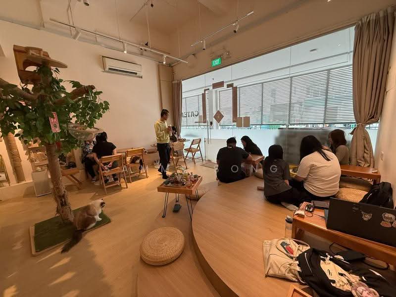 Thomson V One, 9 Sing Ming Rd, Ang Mo Kio / Bishan / Thomson, 538 sqft, Other Retail For Sale, by Sammy Song, 500256319 - Interior - CommercialGuru.com.sg