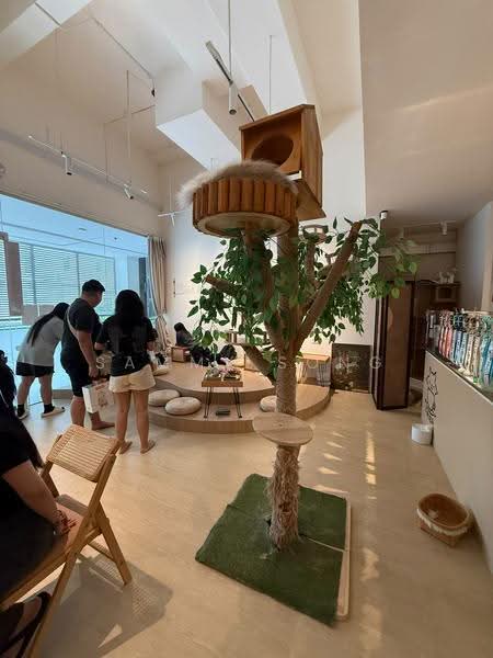 Thomson V One, 9 Sing Ming Rd, Ang Mo Kio / Bishan / Thomson, 538 sqft, Other Retail For Sale, by Sammy Song, 500256319 - Interior - CommercialGuru.com.sg