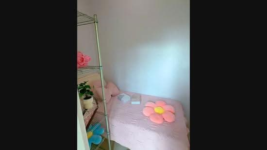 Suffolk Premier, 3 Suffolk Road, Newton / Novena, Room Rental, 100 sqft, Apartment For Rent, by ling, 500256514 - PropertyGuru.com.sg