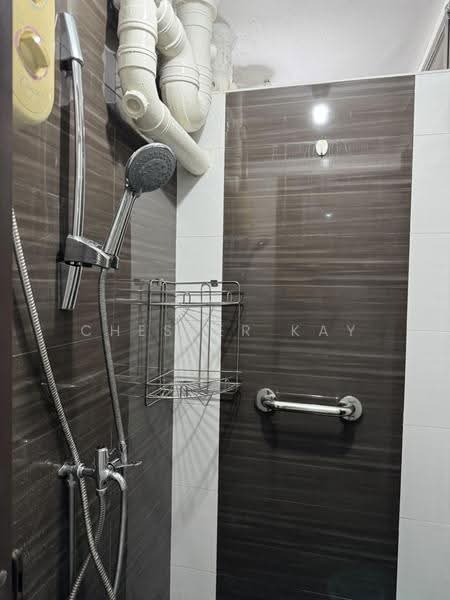 93 Jalan Dua, 93 Jalan Dua, Eunos / Geylang / Paya Lebar, 2 Bedrooms, 635 sqft, HDB Flat For Sale, by Chester Kay, 500256548 - Bathroom - PropertyGuru.com.sg