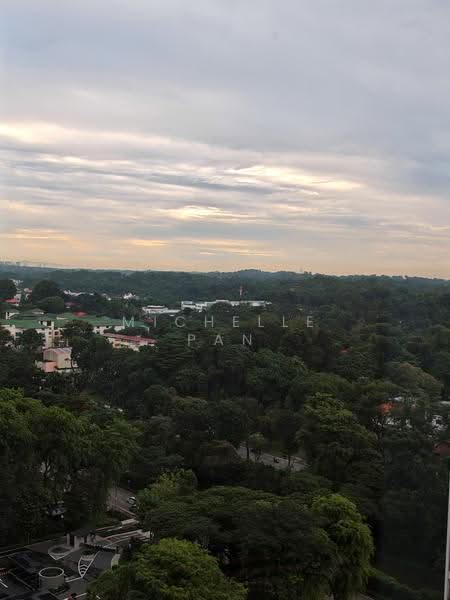 Perfect Ten, 323 Bukit Timah Road, Tanglin / Holland / Bukit Timah, 2 Bedrooms, 786 sqft, Condominium For Rent, by Michelle Pan, 500256601 - View - PropertyGuru.com.sg