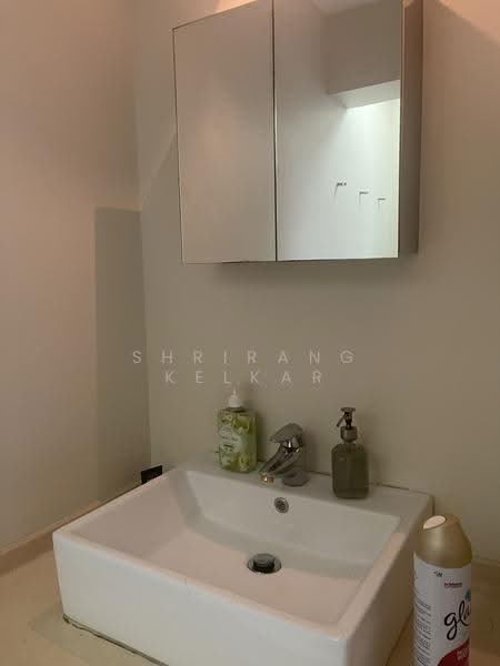 9 Holland Avenue, 9 Holland Avenue, Tanglin / Holland / Bukit Timah, 2 Bedrooms, 700 sqft, HDB Flat For Rent, by Shrirang Kelkar, 500256613 - Bathroom - PropertyGuru.com.sg