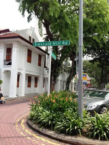 Emerald Hill Conservation Area, Emerald Hill Road, Orchard / River Valley, 4 Bedrooms, 5,000 sqft, Conservation House For Rent, by Gregory Tan, 500256700 - Exterior - PropertyGuru.com.sg