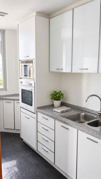 Dhoby ghaut, plaza sing, oxley rise, orchard, river valley, huge 1 bedder, Orchard / River Valley, 1 Bedroom, 753 sqft, Condominium For Rent, by Gina Poa, 500256706 - Kitchen - PropertyGuru.com.sg