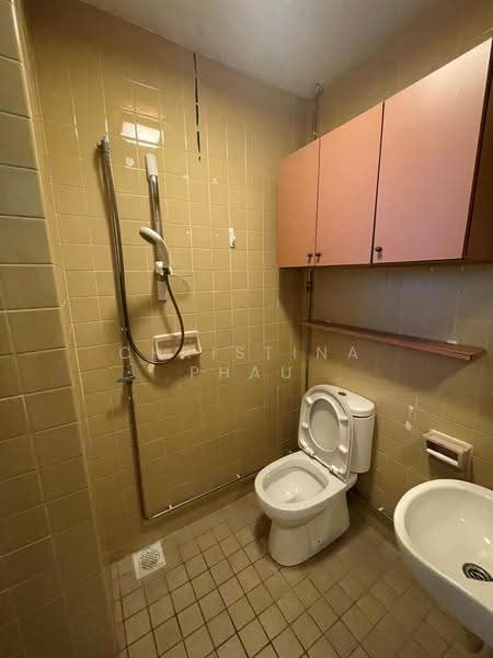 The Cairnhill, 4 Cairnhill Rise, Orchard / River Valley, 4 Bedrooms, 2,788 sqft, Condominium For Rent, by Christina Phau, 500256746 - PropertyGuru.com.sg