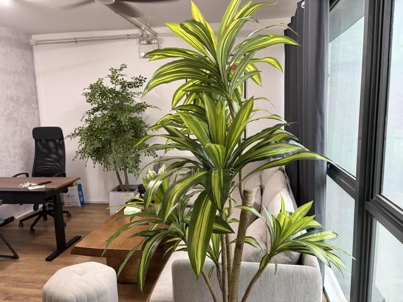 Win5 @ Yishun, 15 Yishun Industrial Street 1, Sembawang / Yishun, 300 sqft, Light Industrial (B1) For Rent, by James Goh, 500257161 - Living Room - CommercialGuru.com.sg