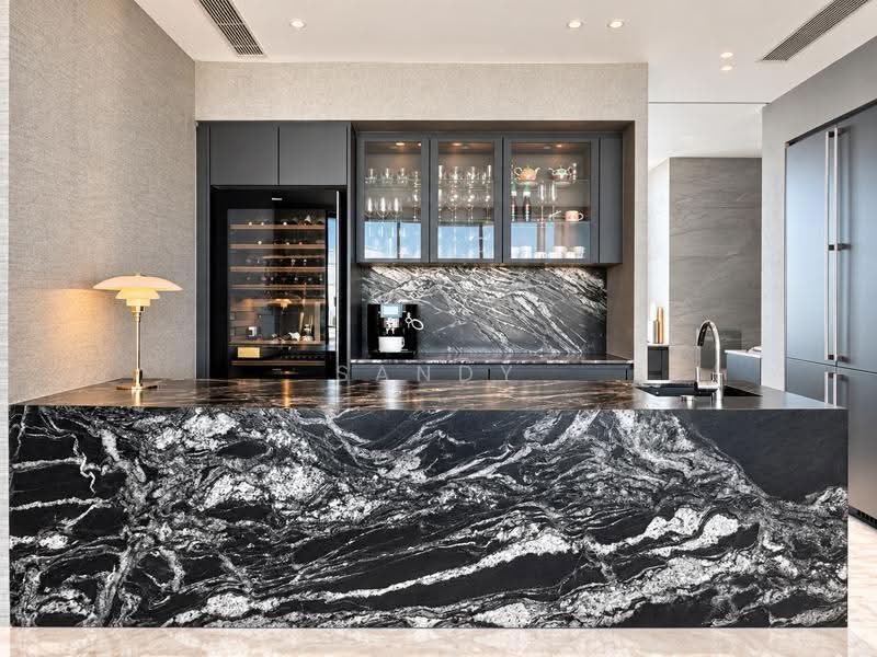Ardmore II, 2 Ardmore Park, Tanglin / Holland / Bukit Timah, 4 Bedrooms, 2,024 sqft, Condominium For Rent, by Sandy Lau, 500257174 - Kitchen - PropertyGuru.com.sg
