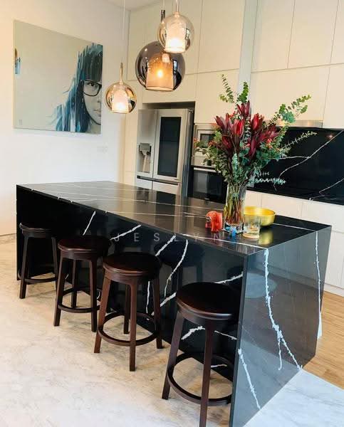 Dyson Road, Dyson Road, Newton / Novena, 5 Bedrooms, 4,633 sqft, Semi-Detached House For Sale, by Jeslyn Lim, 500257605 - Kitchen - PropertyGuru.com.sg