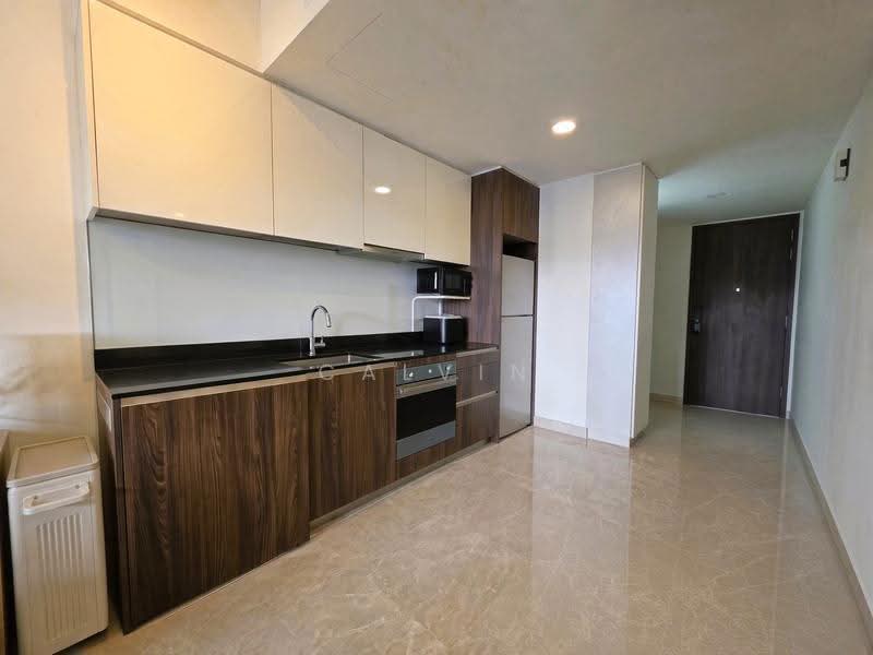 Park Place Residences, 2 Paya Lebar Road, Eunos / Geylang / Paya Lebar, 1 Bedroom, 484 sqft, Condominium For Sale, by Calvin Cheong, 500257638 - Kitchen - PropertyGuru.com.sg