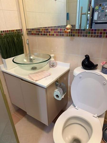 13 Farrer Park Road, 13 Farrer Park Road, Farrer Park / Serangoon Rd, Room Rental, 110 sqft, HDB Flat For Rent, by Casey Teh, 500257861 - Bathroom - PropertyGuru.com.sg