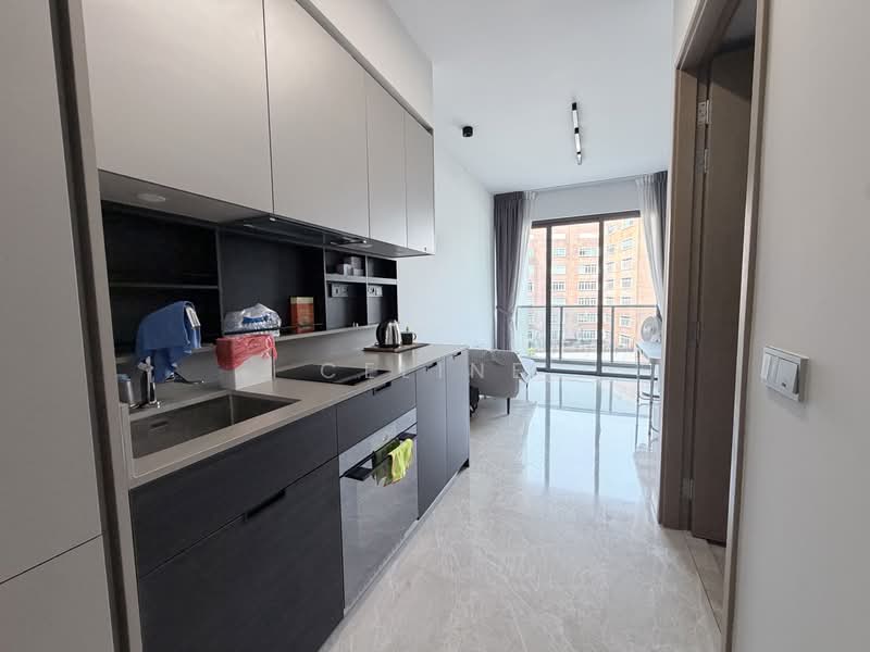 Haus On Handy, 28 Handy Road, Orchard / River Valley, 1 Bedroom, 463 sqft, Condominium For Rent, by Celine Kong, 500258082 - Kitchen - PropertyGuru.com.sg