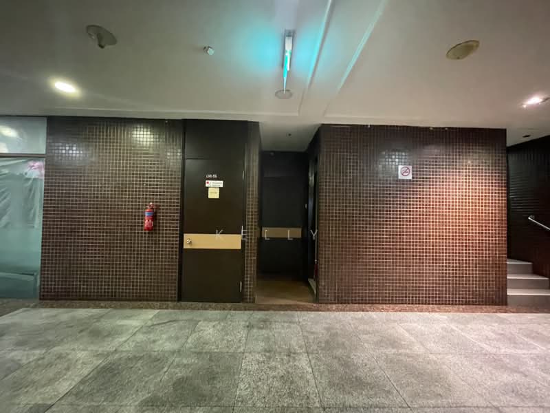Excelsior Hotel, 5 Coleman Street, City Hall / Clarke Quay, 215 sqft, Mall Shop For Sale, by Kelly Tai, 500258088 - Entrance - CommercialGuru.com.sg