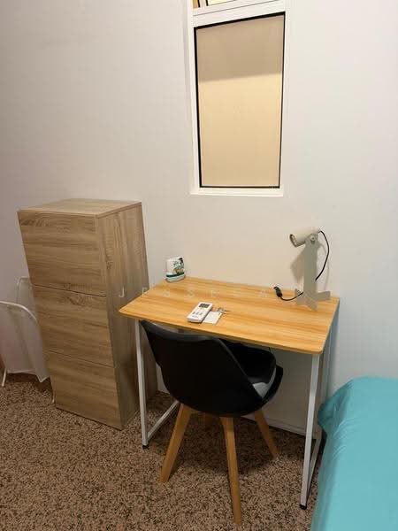 Dover Parkview, 30 Dover Rise, Buona Vista / West Coast / Clementi New Town, Room Rental, 250 sqft, Condominium For Rent, by Jesseca Ong, 500258233 - Study - PropertyGuru.com.sg