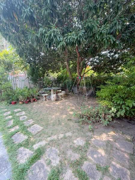 Simpang Bedok, Simpang Bedok, Bedok / Upper East Coast, 5 Bedrooms, 3,172 sqft, Semi-Detached House For Sale, by Koobin Tan, 500258341 - Garden - PropertyGuru.com.sg