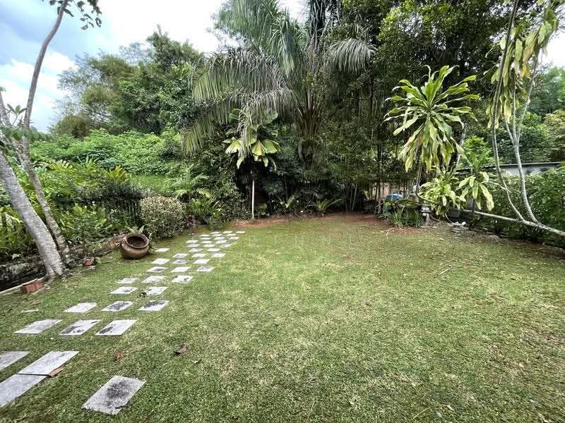 Clementi Green, Clementi Crescent, Clementi Park / Upper Bukit Timah, 5 Bedrooms, 6,500 sqft, Semi-Detached House For Rent, by Corinne Tham, 500258374 - Back Garden - PropertyGuru.com.sg