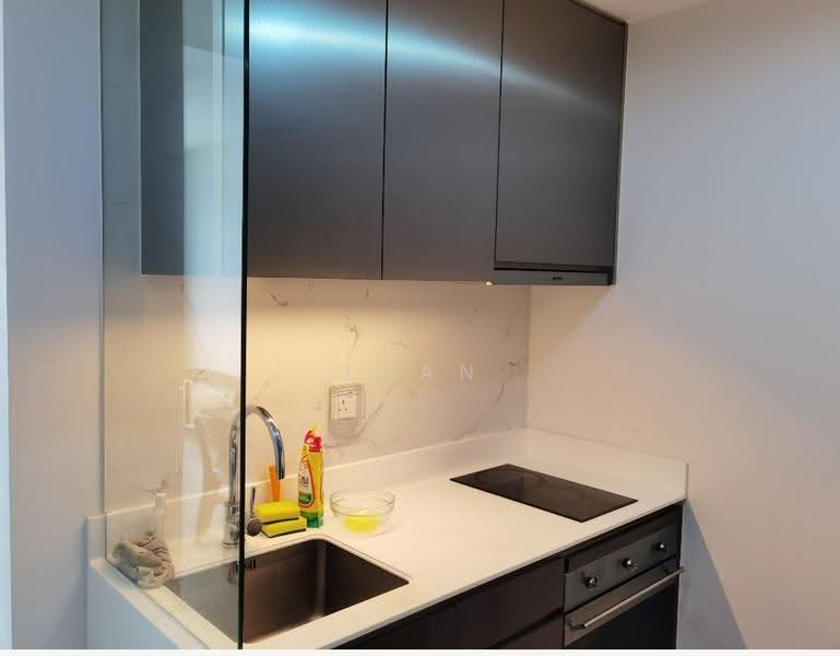 The Clement Canopy, Ave 1 Clementi, Buona Vista / West Coast / Clementi New Town, 2 Bedrooms, 635 sqft, Condominium For Rent, by Joan Ho, 500258389 - Kitchen - PropertyGuru.com.sg