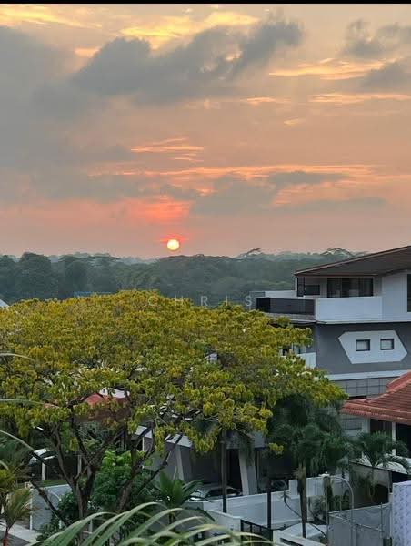 Springleaf Garden, Springleaf Road, Mandai / Upper Thomson, 6 Bedrooms, 6,800 sqft, Semi-Detached House For Sale, by Chris Goh, 500258483 - Exterior - PropertyGuru.com.sg