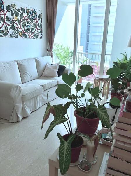 * Good value nice 1 bedroom apt only 10 mins' walk to Novena *, Newton / Novena, 1 Bedroom, 517 sqft, Apartment For Sale, by Beverly M Goh, 500258539 - Living Room - PropertyGuru.com.sg