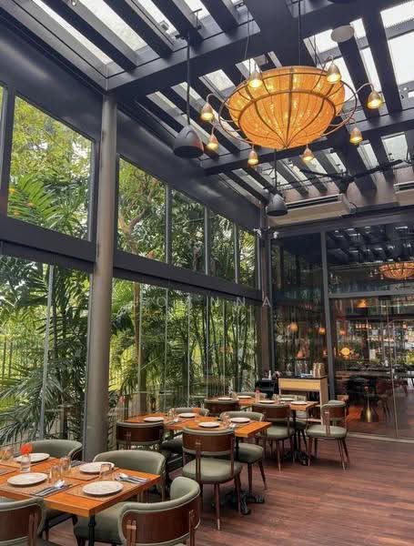 Prime Ground-Floor Retail / F&B Opportunity Along Orchard Road, Orchard / River Valley, 2,691 sqft, Other Retail For Rent, by Joanna Zhou, 500258834 - CommercialGuru.com.sg