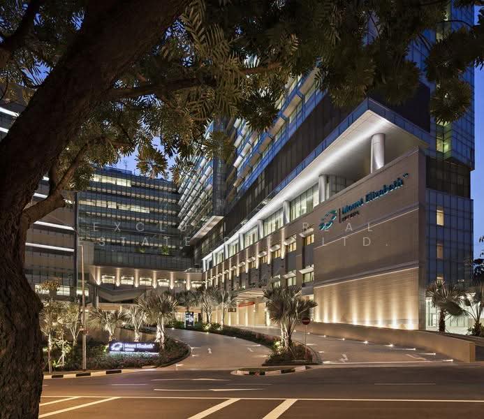 Mount Elizabeth Novena Hospital | Medical Room w/ Window View for Rent, Balestier / Toa Payoh, 200 sqft, Medical For Rent, by FREDDY, 500258973 - Exterior - CommercialGuru.com.sg