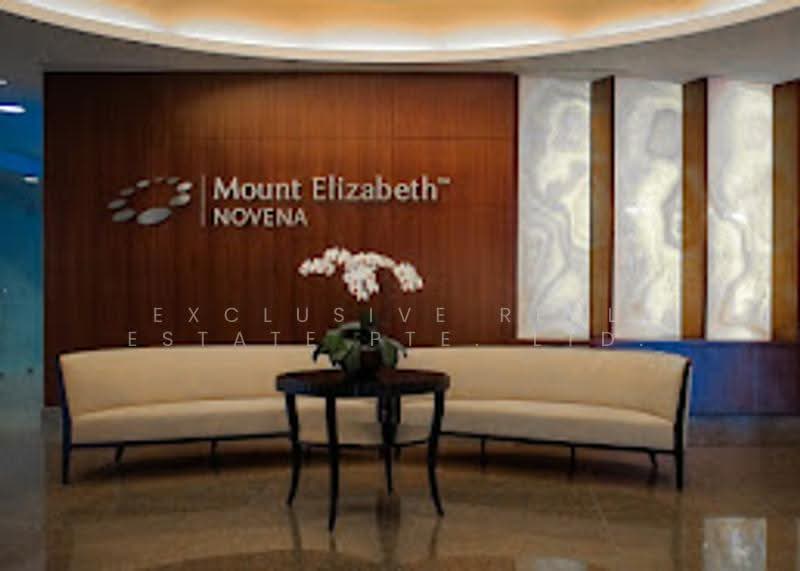 Mount Elizabeth Novena Hospital | Medical Room w/ Window View for Rent, Balestier / Toa Payoh, 200 sqft, Medical For Rent, by FREDDY, 500258973 - Lobby - CommercialGuru.com.sg