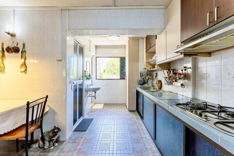 407 Pandan Gardens, 407 Pandan Gardens, Boon Lay / Jurong / Tuas, 3 Bedrooms, 1,119 sqft, HDB Flat For Sale, by Farah Zack, 500259043 - Kitchen - PropertyGuru.com.sg