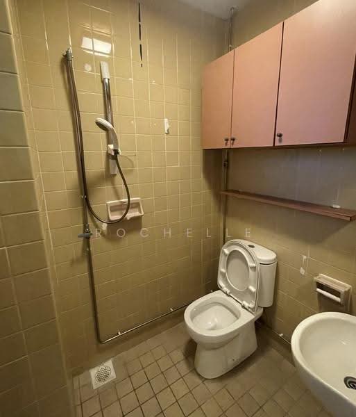 The Cairnhill, 4 Cairnhill Rise, Orchard / River Valley, 4 Bedrooms, 2,809 sqft, Condominium For Rent, by Rochelle De S Meegolle, 500259585 - Bathroom - PropertyGuru.com.sg