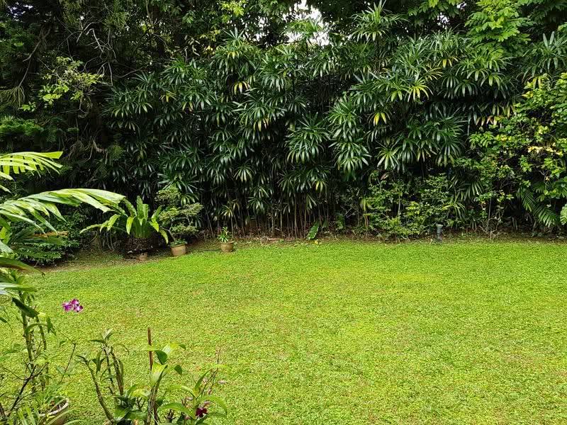 Trevose Vicinity Bungalow, Trevose, Jalan Bahasa, Newton / Novena, 4 Bedrooms, 2,600 sqft, Detached House For Sale, by C. Gan, 500259730 - Garden - PropertyGuru.com.sg
