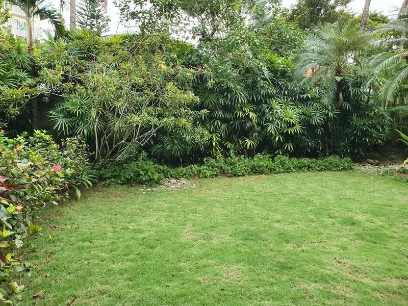 Trevose Vicinity Bungalow, Trevose, Jalan Bahasa, Newton / Novena, 4 Bedrooms, 2,600 sqft, Detached House For Sale, by C. Gan, 500259730 - Garden - PropertyGuru.com.sg