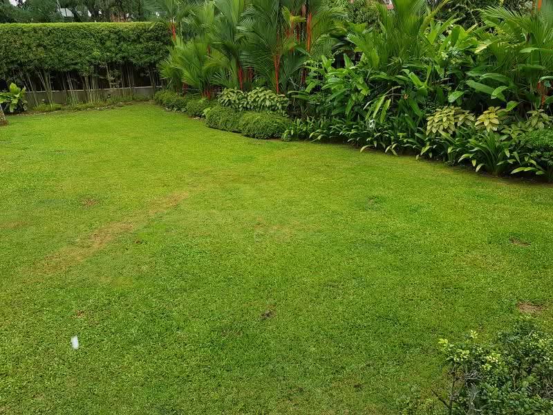 Trevose Vicinity Bungalow, Trevose, Jalan Bahasa, Newton / Novena, 4 Bedrooms, 2,600 sqft, Detached House For Sale, by C. Gan, 500259730 - Garden - PropertyGuru.com.sg