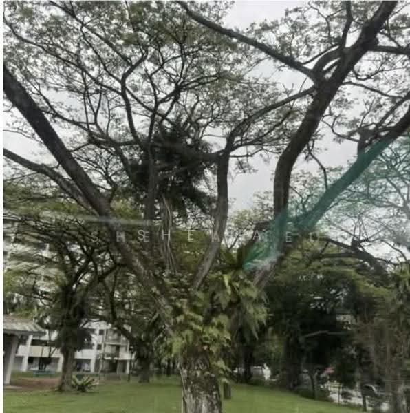 17 Lorong 7 Toa Payoh, 17 Lorong 7 Toa Payoh, Balestier / Toa Payoh, 2 Bedrooms, 829 sqft, HDB Flat For Sale, by Sheila Neo, 500260033 - Exterior - PropertyGuru.com.sg