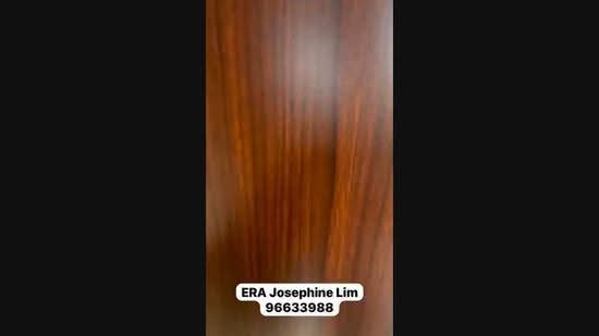 Chuan Villas, Chuan Close, Hougang / Punggol / Sengkang, 6 Bedrooms, 4,300 sqft, Terraced House For Rent, by Josephine Lim J R 林婕容 (区域分行董事 ), 500260154 - PropertyGuru.com.sg
