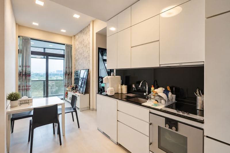 Robin Suites, 25 Robin Road, Tanglin / Holland / Bukit Timah, 4 Bedrooms, 1,001 sqft, Apartment For Sale, by Ivan Lam, 500260500 - Kitchen - PropertyGuru.com.sg