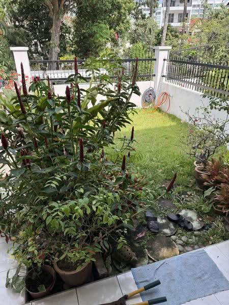 395 Upper Changi Road, 395 Upper Changi Road, Bedok / Upper East Coast, 4 Bedrooms, 2,739 sqft, Terraced House For Sale, by Zach Lin, 500260558 - Garden - PropertyGuru.com.sg